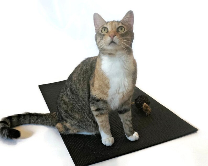Yoga Mat, Black Yoga Mat, Yoga Mat for Cats, Cat Mat, Yoga Lover Gift image 2