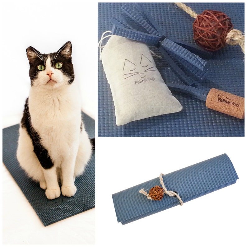 Yoga Mat and Yoga Props for Cats Slate Blue Yoga Cat Mat With Etsy