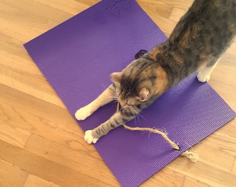 Yoga Cat Mat Gift for Cats-Unique Cat Toy Gift for Cats