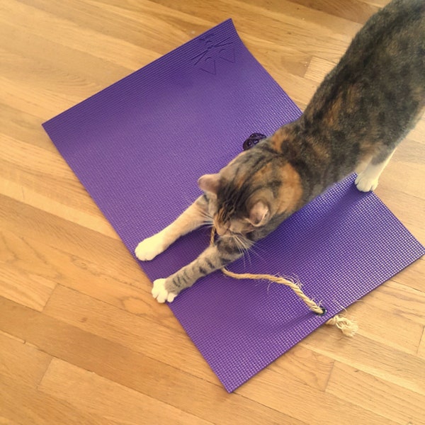 Yoga Cat Mat Gift for Cats-Unique Cat Toy Gift for Cats