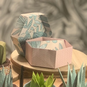 Caja de tarjetas de regalo - Boujie White Suculents