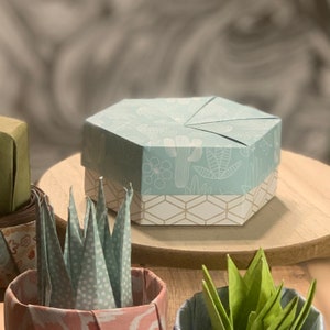 Caja de tarjetas de regalo - Suculentas boujie teal