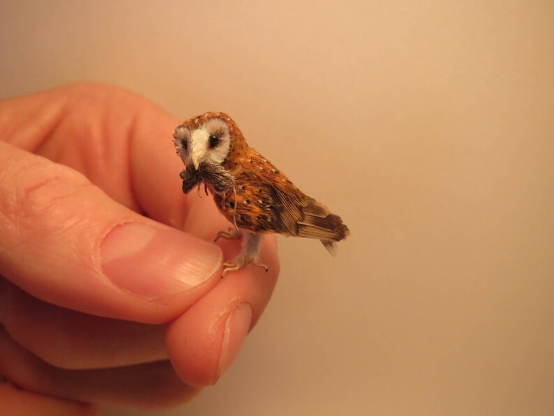Reserved Lund Barn Owl with mouse in 112 scale OOAK Etsy