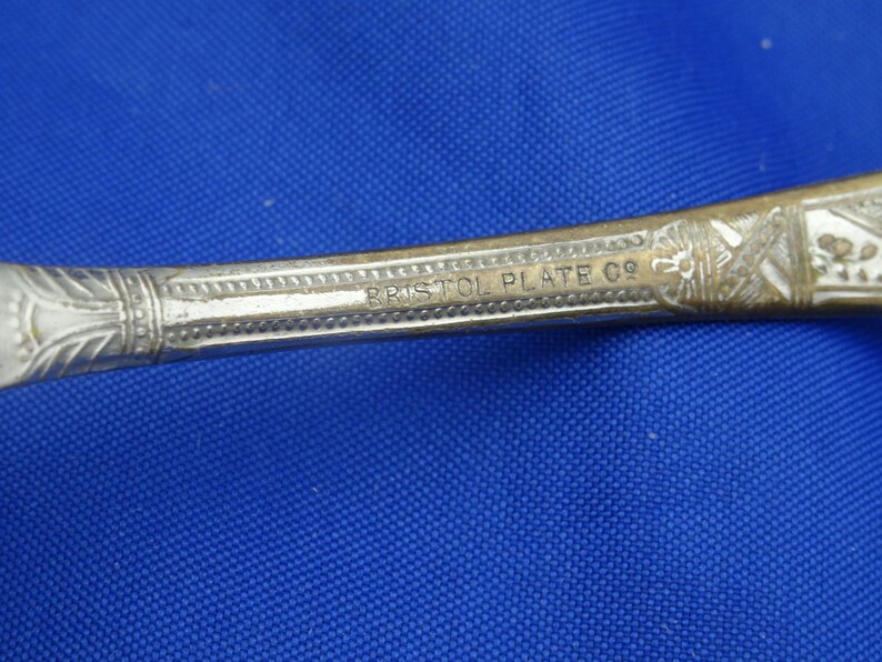 Bristol Plate Sugar Spoon Art Nouveau Sugar Shell Etsy