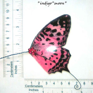 OOAK Handmade Fantasy Butterfly Fairy Wings for Dolls - Etsy