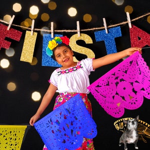 Cinco de Mayo Large Paper Mexican Banner 5 pk Paper picado Garland, Fiesta Decoration, Rainbow Themed Party, Mexican Papel Picado B272