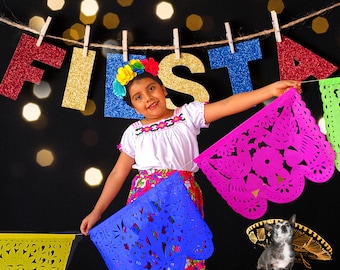 Cinco de Mayo Fiesta Banner, Large Paper Papel Picado, Rainbow Theme, 5 pk