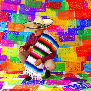 Mexican Fiesta Party Decorations, 5 Pk Papel Picado Banners, Fiesta banner Cinco de mayo decor, Papel Picado Mexicano para fiesta WS100 image 6