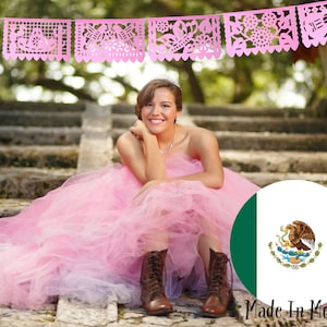 Papel picado, Light pink banner, Fiesta decoration hanging decor, Paper picado, Mexico decor, Paper Garland, Mexico Party, Fiesta Banner,SB2
