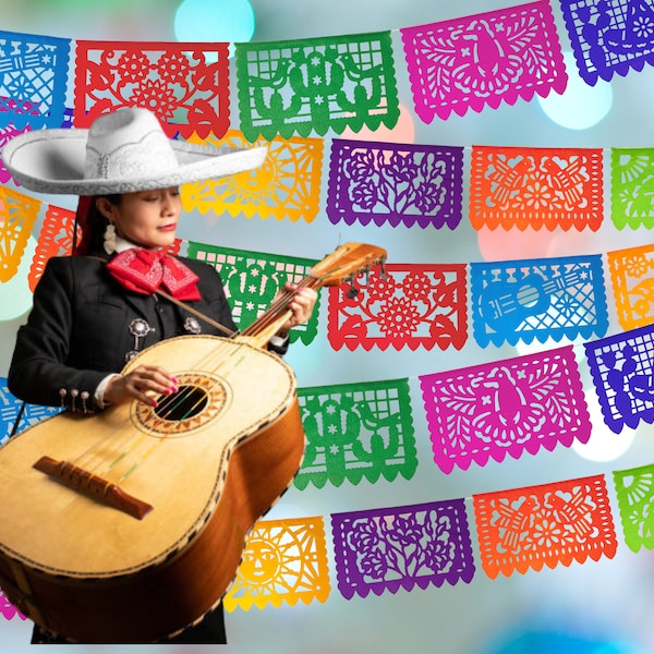 Mexican Fiesta Party Decorations, 5 Pk Papel Picado Banners, Fiesta banner Cinco de mayo decor, Papel Picado Mexicano para fiesta WS100