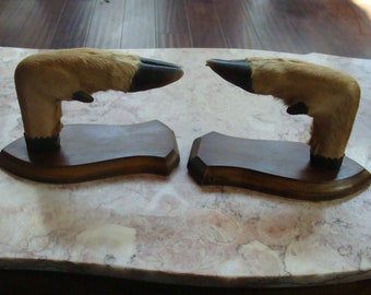Pair of Taxidermy DEER Hooves / Feet Mounted Wood Plaques Gun Rack / Hat / Coat Racks