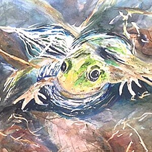 Frog, Marshland, Original Watercolor Painting, Pond, Wall Art