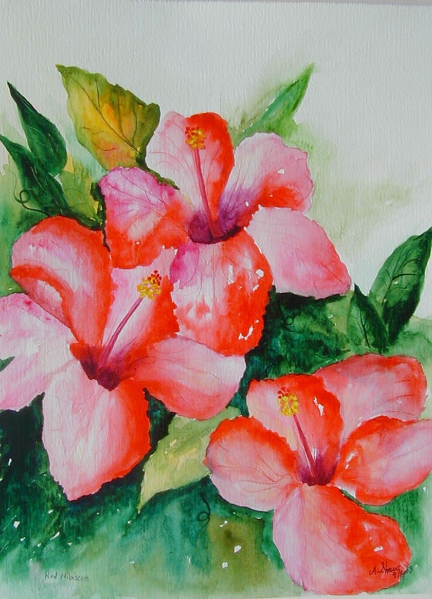 Red Hibiscus Original Watercolor Paintinghandmade Tropical - Etsy