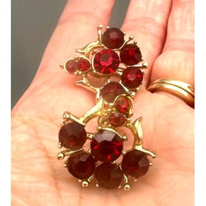 May include: A gold-toned brooch featuring clusters of round, faceted, deep red gemstones. The brooch has an ornate, vine-like design with multiple gemstone clusters. The gemstones vary in size and are set against a gold metal base.