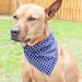 see more listings in the Dog Bandanas section