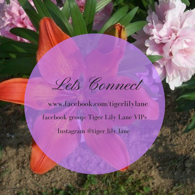 May include: A pink circle with the text "Lets Connect" and social media information: www.facebook.com/tigerlilylane, facebook group: Tiger Lily Lane VIPs, Instagram @tiger_lily_lane. The circle is surrounded by a red lily and pink peonies.