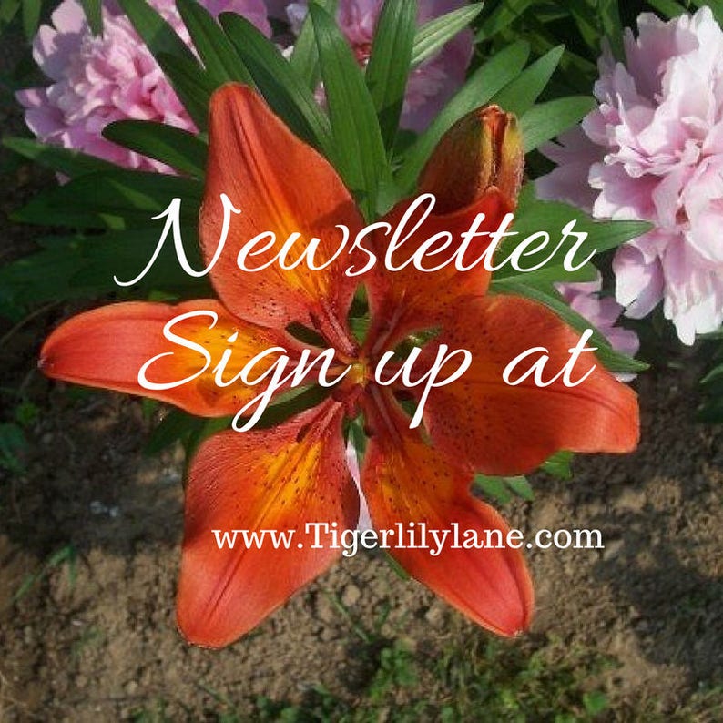 May include: A close-up of an orange lily flower with the text "Newsletter Sign up at www.Tigerlillylane.com" superimposed on the image.