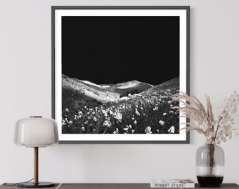 Fine Art Photography Print, Spring flowers, Flower field,  Mountain Landscape, Modern Minimal Wall Art, Large Wall Print, Bedroom Art