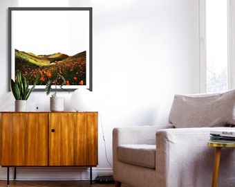 Fine Art Photography, Spring flowers, Flower field, Mountain Landscape, Modern Minimal Art, Large Wall Print, Bedroom Art, Living Room Art