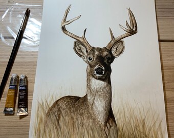 Könnte beinhalten: Aquarellmalerei eines Weißwedelhirsches mit großen Geweih, das in einem Feld aus braunem Gras steht. Das Reh schaut direkt auf den Betrachter. Das Gemälde ist mit "Kimberly 20" signiert.