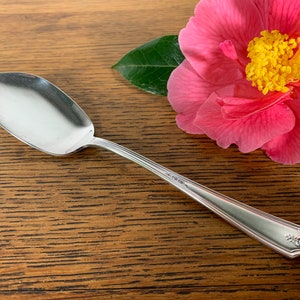May include: A silver spoon with a leaf-shaped bowl and a decorative handle. The spoon is on a wooden surface with a pink flower in the background.