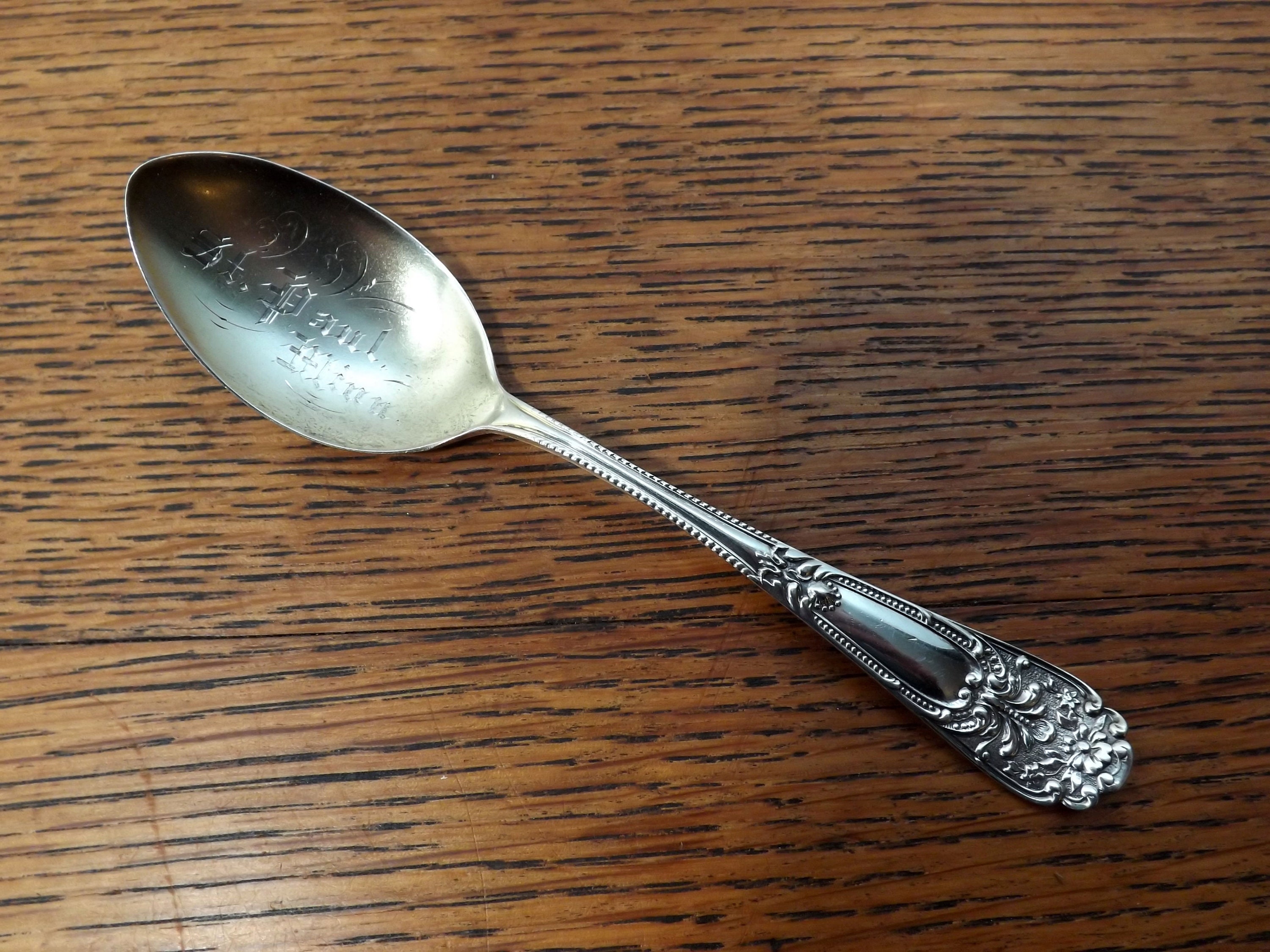 Minnesota souvenir spoon - Etsy 日本