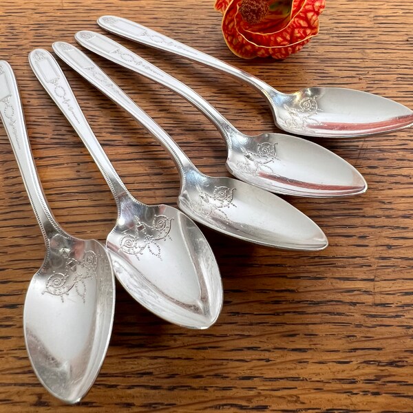 Grapefruit Spoons Etsy