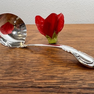 May include: A silver ladle with a decorative handle, reflecting a red flower petal. The ladle is on a wooden surface.