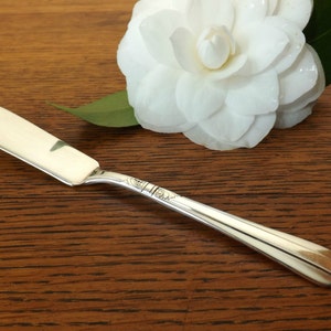 Può includere: Un coltello da burro d'argento con un manico decorato. Il coltello è su una superficie di legno con un fiore bianco.