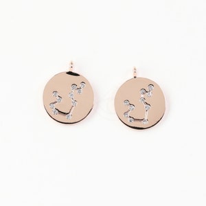 3602017 / Zodiac Sign, Aquarius, January / Rose Gold Plated Brass with CZ Pendant 11mm Diameter / 1g / 2pcs