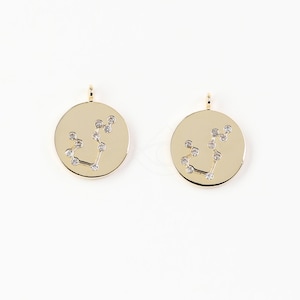 3602011 / Zodiac Sign, Aquarius, January / 16k Gold Plated Brass with CZ Pendant 11mm Diameter / 1g / 2pcs