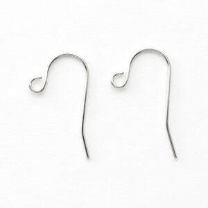May include: Two silver earring hooks, each with a small loop at the top and a long, curved wire extending down.