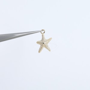 3748011 / Stella marina / Piccola / Ciondolo in ottone placcato oro 16k 8,7 mm x 13,2 mm / 0,4 g / 2 pezzi