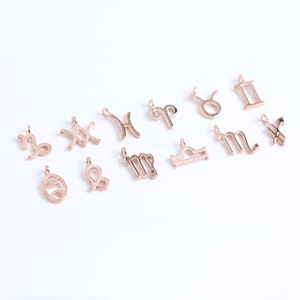 May include: Rose gold-colored zodiac sign charms, each with a small loop for attaching to jewelry. The charms represent the twelve astrological signs, including Capricorn, Aquarius, Pisces, Aries, Taurus, Gemini, Cancer, Leo, Virgo, Libra, Scorpio, and Sagittarius.