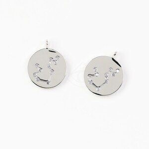 3602012 / Zodiac Sign, Aquarius, January / Rhodium Plated Brass with CZ Pendant 11mm Diameter / 1g / 2pcs