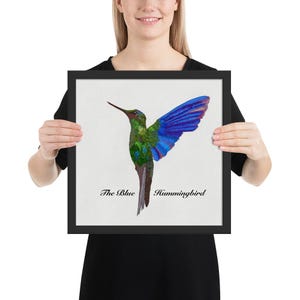 Póster fotográfico digital enmarcado de El Colibrí Azul