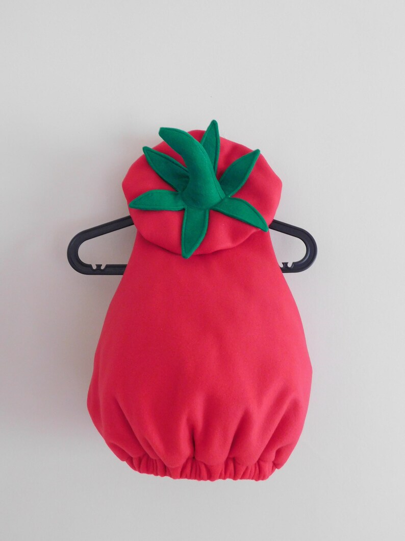 Baby Toddler Fruit and Vegetable Costume