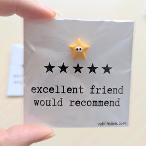 Lustige Freundschaftskarte - Ausgezeichneter Freund würde empfehlen - Niedliches, erhebendes Geschenk für beste Freunde - Perfekt für Geburtstage oder einfach nur so