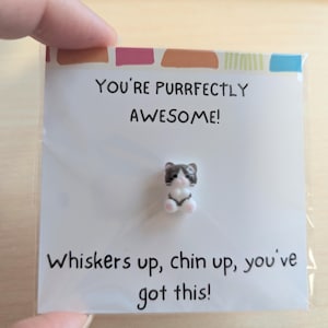 Vous avez cette carte. Carte édifiante avec adorable figurine de chat - Mini souvenir carré de 2,6 pouces, option de message personnalisé