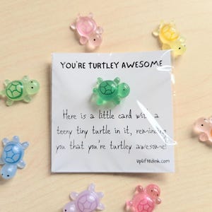 Può includere: Una carta con la scritta "YOU'RE TURTLEY AWESOME" e diverse piccole figurine di tartarughe colorate. La carta recita: "Ecco una piccola carta con una minuscola tartaruga, che ti ricorda che sei fantastico!"