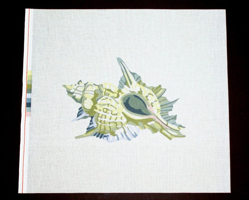 May include: A detailed painting of a seashell with a light green, yellow, and blue color scheme. The shell is depicted in a realistic style with intricate details.