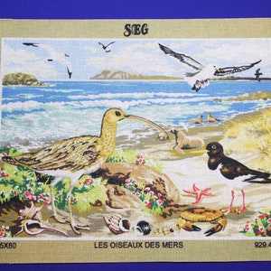 Seashore Needlepoint, Seagull, SEG Tapestries, European Needlepoint Canvases, Penelope Brown Canvases, Needlepoint Designs, Beach Needlework