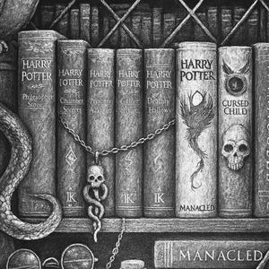 May include: Black and white illustration of a bookshelf with Harry Potter books. A Death Eater pendant hangs in front of the books. Other items include an owl, glasses, and a potion bottle.