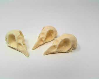 May include: Three small, off-white bird skulls with a hollowed-out center. The skulls are arranged in a row on a white surface.