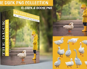 The Duck - PNG Collection