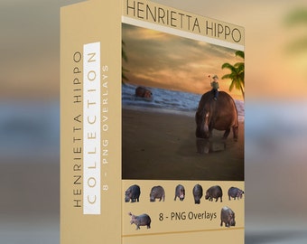 8 - Hippo PNG Ovelrays - Henrietta Hippo