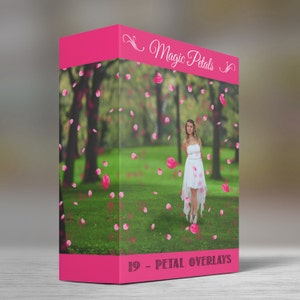 Magic Petals - Collection  - 19 - Petal  Overlays