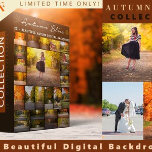 Autumn Bliss - 25 Digital Backdrops