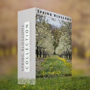 Spring Blossoms - 12 Digital Backdrops - ( Cherry Trees )