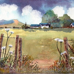 Cow Parsley, The Brecon Beacons, South Wales, Watercolour Print, in 20 x 16 &#39;&#39; Mount, Birthday Gift Idea, Art Print Wales, Welsh Landscape
